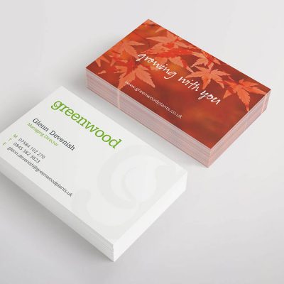 Matt Laminated 400gsm Business Card